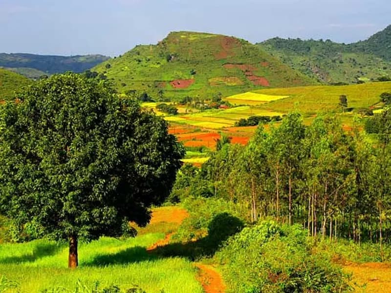 Araku Valley