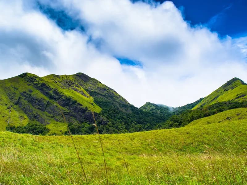 Wayanad