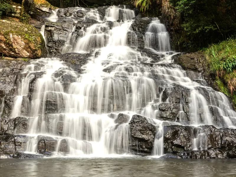 Meghalaya Living Roots