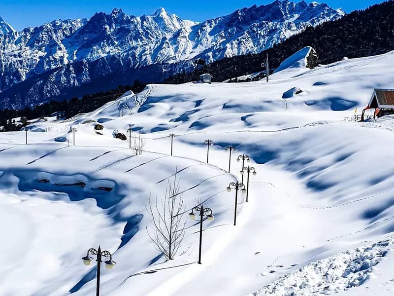Auli