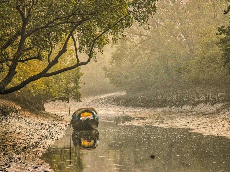 Sundarbans