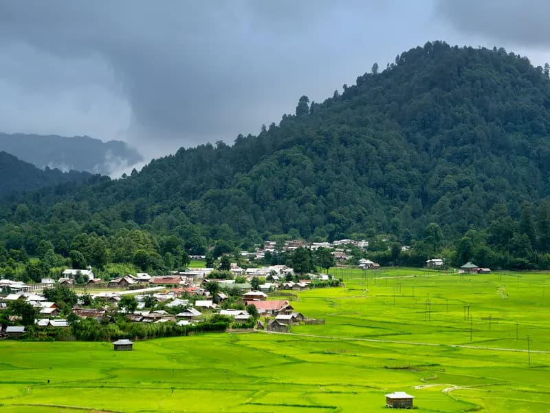 Ziro Valley
