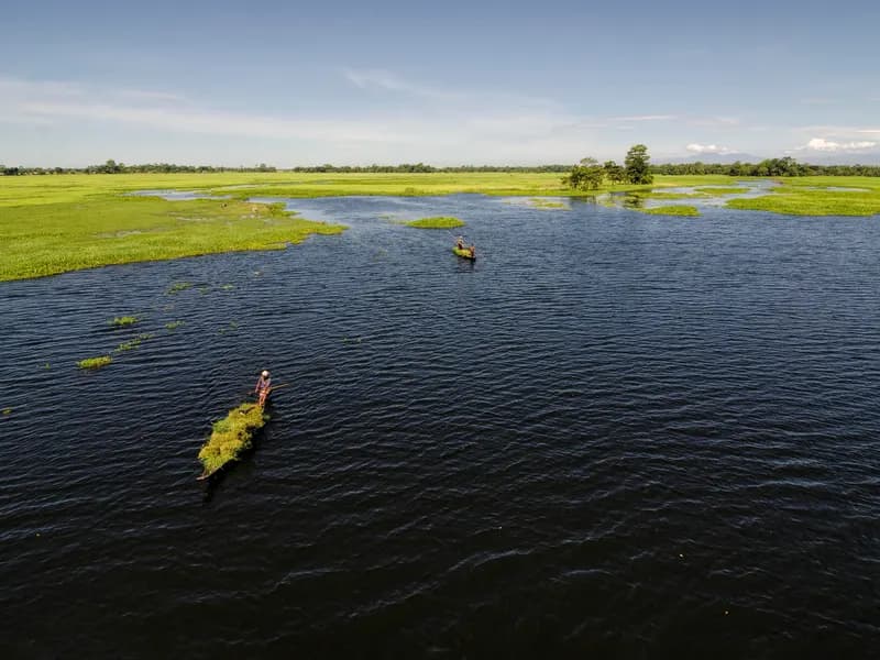 Majuli