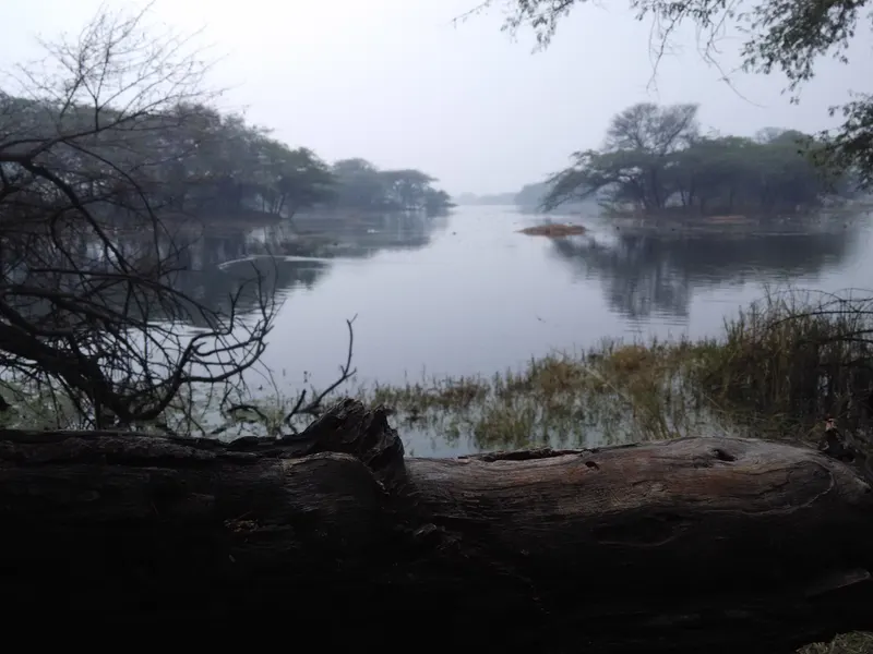 Sultanpur Bird Sanctuary