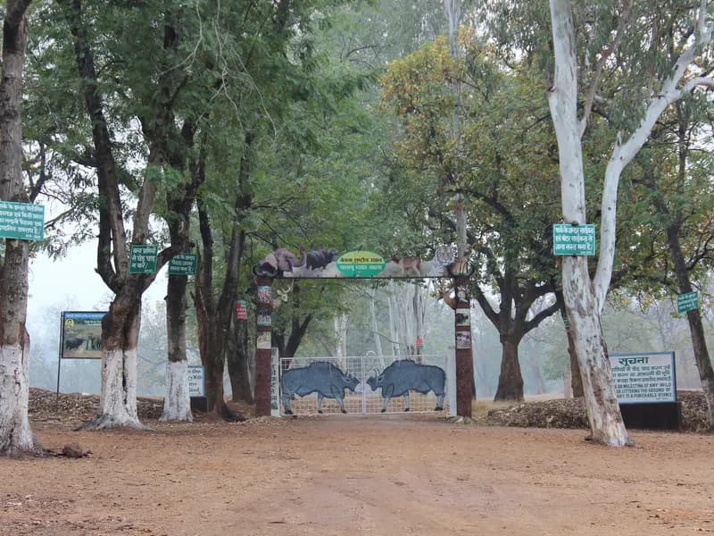 Betla National Park
