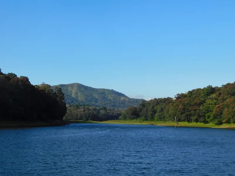 Thekkady (Periyar)