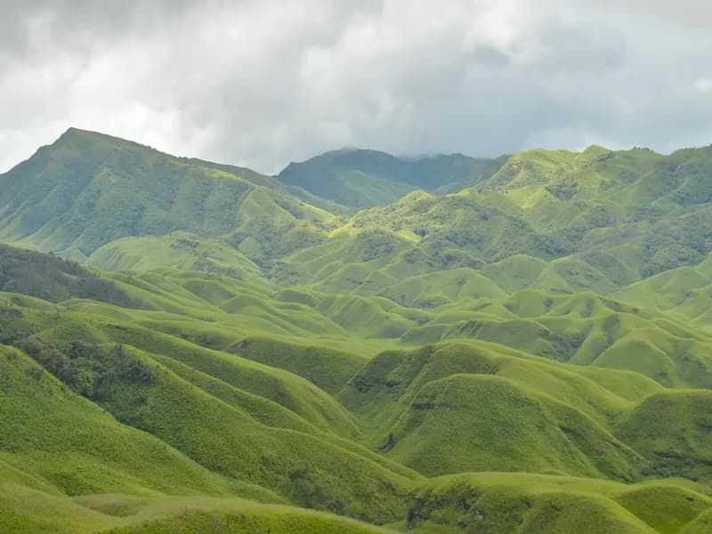Dzukou Valley
