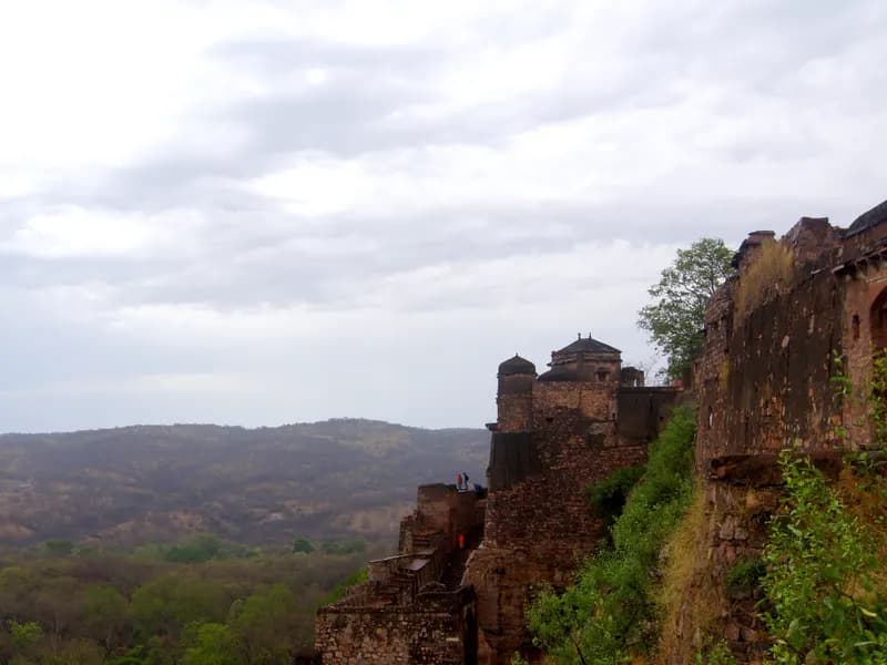 Ranthambore